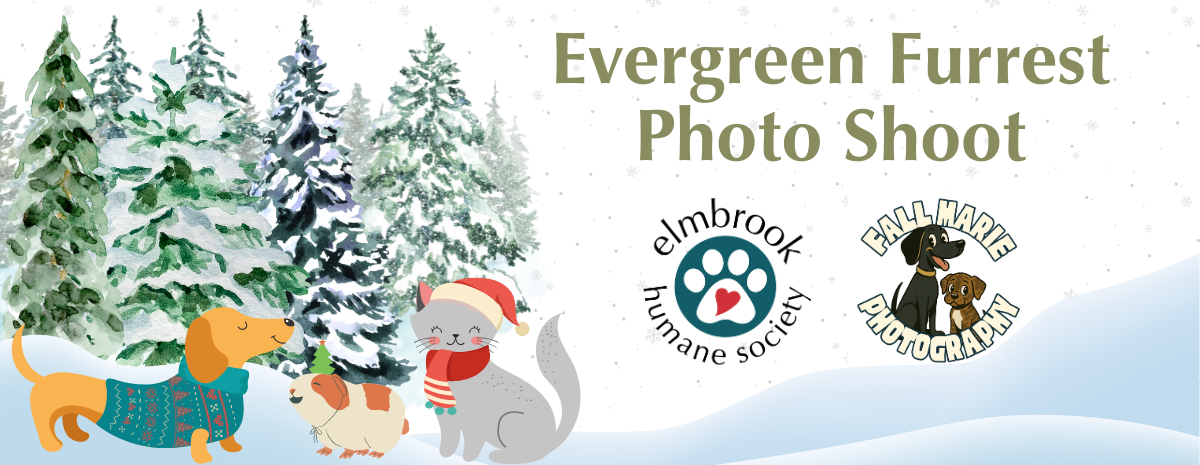 Evergreen Furrest Photo Shoot (at EBHS)